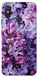 Чохол Violet blossoms для Xiaomi Mi 8