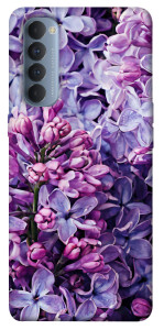 Чохол Violet blossoms для Oppo Reno 4 Pro