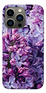 Чехол Violet blossoms для iPhone 13 Pro