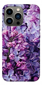 Чохол Violet blossoms для iPhone 13 Pro