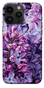 Чехол Violet blossoms для iPhone 14 Pro Max