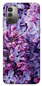 Чохол Violet blossoms для Nokia G11