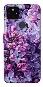 Чохол Violet blossoms для Google Pixel 5A