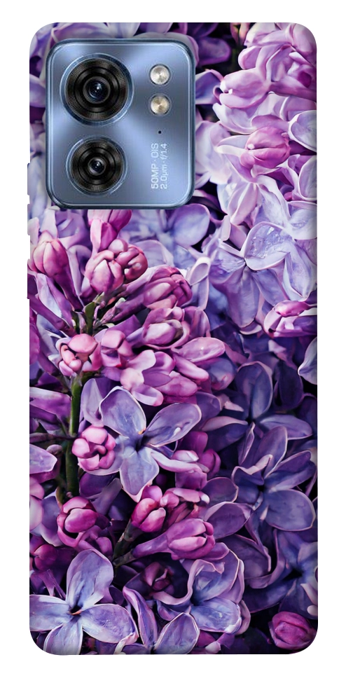 Чохол Violet blossoms для Motorola Edge 40