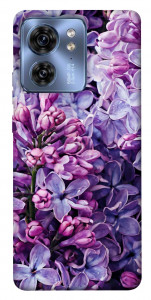 Чехол Violet blossoms для Motorola Edge 40