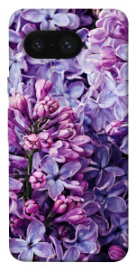 Чехол Violet blossoms для Google Pixel 8