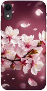 Чохол Sakura для iPhone XR