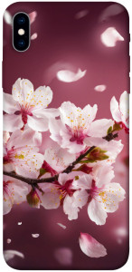 Чехол Sakura для iPhone XS Max
