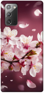 Чехол Sakura для Galaxy Note 20