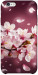 Чехол Sakura для iPhone 6S Plus