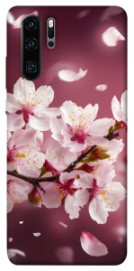 Чохол Sakura для Huawei P30 Pro
