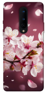 Чехол Sakura для OnePlus 8