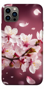 Чохол Sakura для iPhone 12 Pro