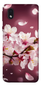 Чехол Sakura для Samsung Galaxy M01 Core