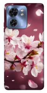 Чохол Sakura для Motorola Edge 40