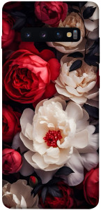 Чехол Velvet roses для Galaxy S10 Plus (2019)