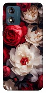 Чехол Velvet roses для Motorola Moto E13