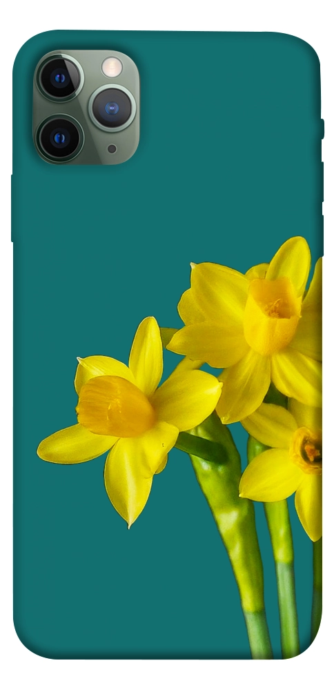 Чехол Golden Daffodil для iPhone 11 Pro Max