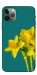 Чохол Golden Daffodil для iPhone 11 Pro