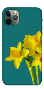 Чохол Golden Daffodil для iPhone 11 Pro