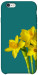 Чехол Golden Daffodil для iPhone 6