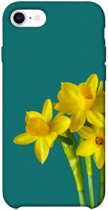 Чехол Golden Daffodil для iPhone SE (2020)