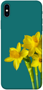 Чохол Golden Daffodil для iPhone XS Max