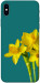 Чохол Golden Daffodil для iPhone XS Max