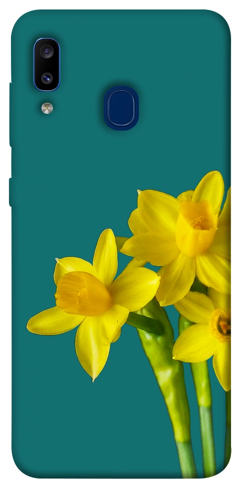 Чехол Golden Daffodil для Galaxy A20 (2019)