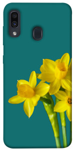 Чохол Golden Daffodil для Samsung Galaxy A20 A205F