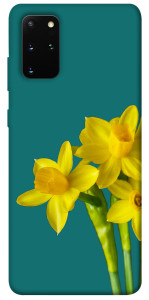 Чехол Golden Daffodil для Galaxy S20 Plus (2020)