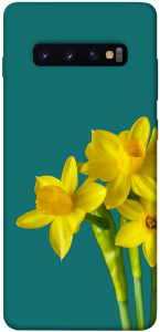 Чохол Golden Daffodil для Galaxy S10 Plus (2019)