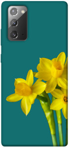Чохол Golden Daffodil для Galaxy Note 20