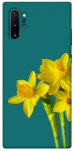 Чохол Golden Daffodil для Galaxy Note 10+ (2019)