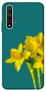 Чехол Golden Daffodil для Huawei Honor 20