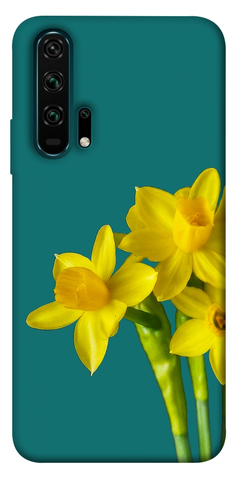 Чехол Golden Daffodil для Huawei Honor 20 Pro