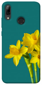 Чохол Golden Daffodil для Huawei P Smart (2019)