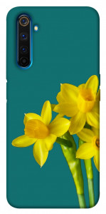 Чехол Golden Daffodil для Realme 6 Pro