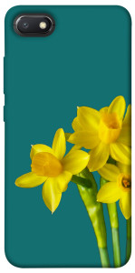 Чехол Golden Daffodil для Xiaomi Redmi 6A