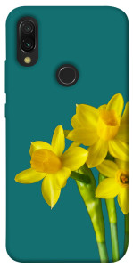 Чохол Golden Daffodil для Xiaomi Redmi 7