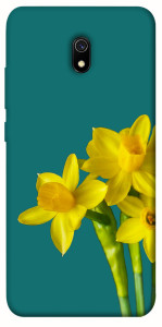 Чохол Golden Daffodil для Xiaomi Redmi 8a