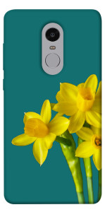 Чохол Golden Daffodil для Xiaomi Redmi Note 4X