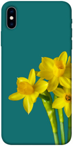 Чохол Golden Daffodil для iPhone XS (5.8")