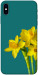 Чохол Golden Daffodil для iPhone XS