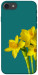 Чехол Golden Daffodil для iPhone 8