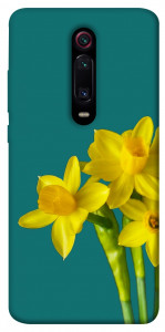 Чехол Golden Daffodil для Xiaomi Mi 9T Pro