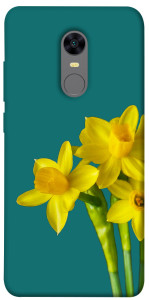 Чохол Golden Daffodil для Xiaomi Redmi Note 5 (Single Camera)