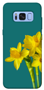 Чехол Golden Daffodil для Galaxy S8 (G950)