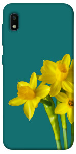 Чехол Golden Daffodil для Galaxy A10 (A105F)