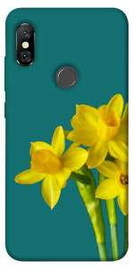 Чехол Golden Daffodil для Xiaomi Redmi Note 6 Pro